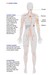 Image of the lymphatic system